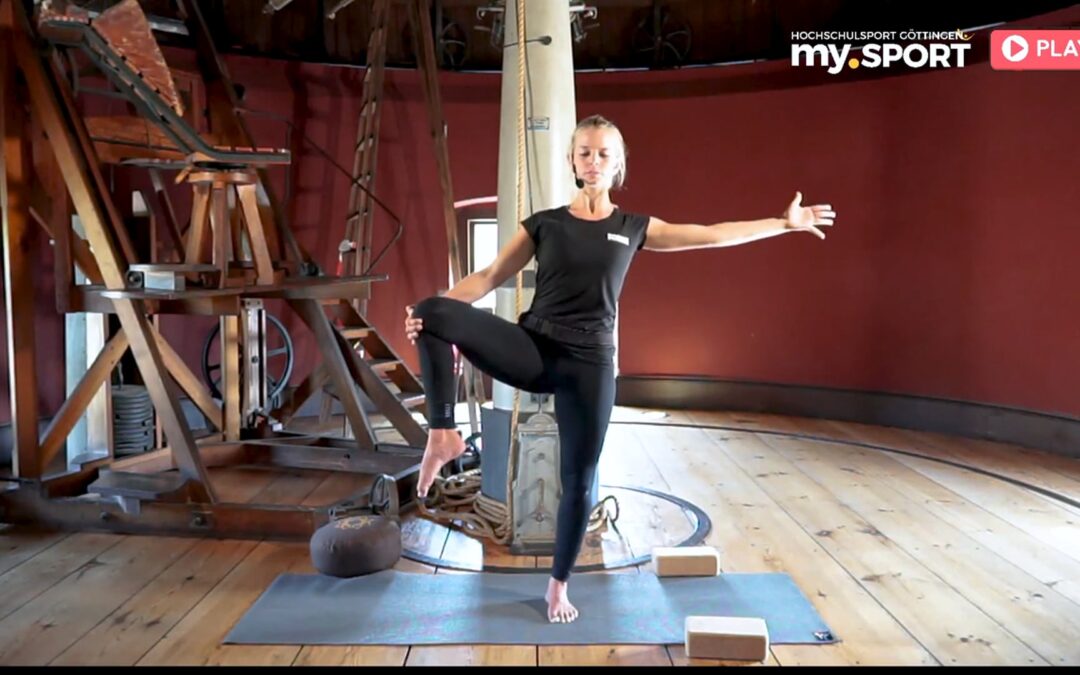 Vin­ya­sa Yoga Basic Kurs 6
