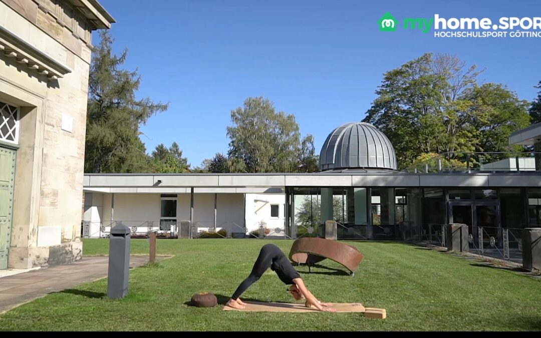 Vin­ya­sa Yoga Basic Kurs 8